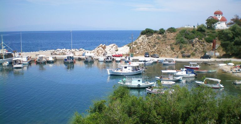 Τριήμερη ανθοέκθεση στα Ν. Ρόδα